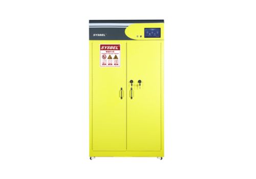 Tủ chứa hóa chất dễ cháy SYSBEL WAE620109Y