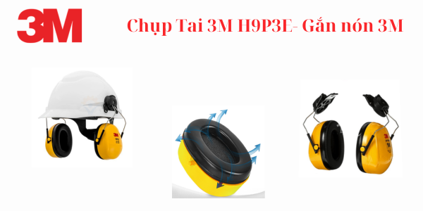 Nội dung đoạn văn bản của bạn