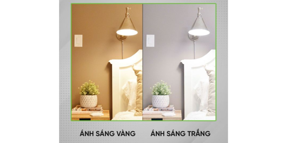 Thiết kế chưa có tên (1)_3